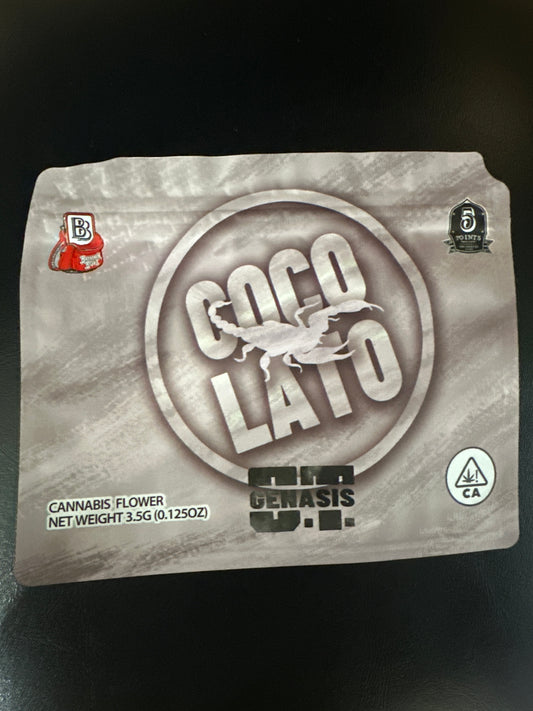 Backpack boyz coco-lato